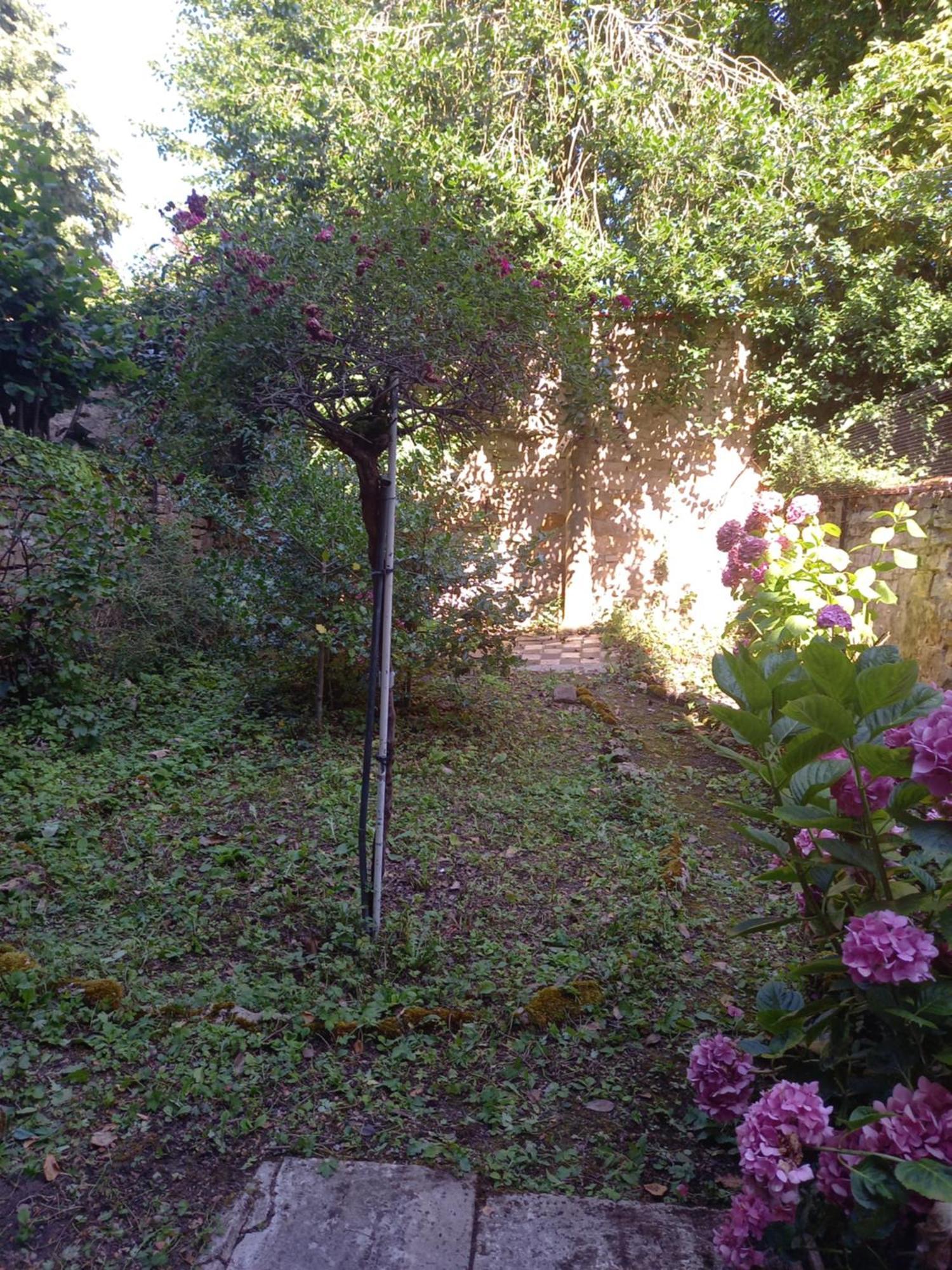 Apartamento La Teranga De Kadi & Cathy, Avec Jardin Privatif Nancy Exterior foto