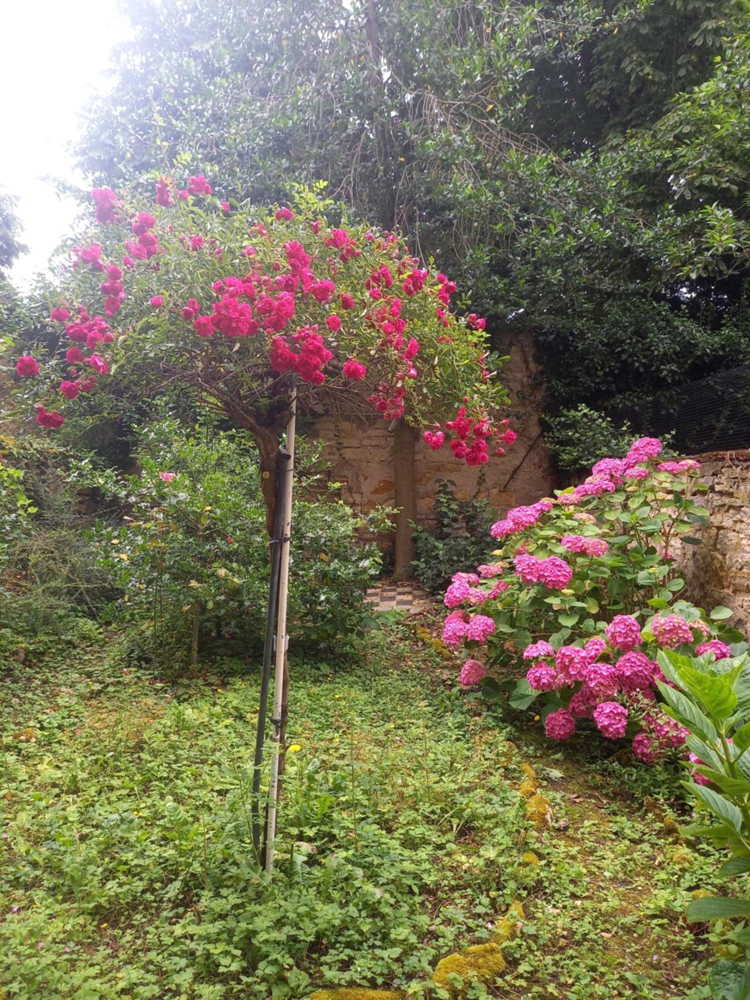 Apartamento La Teranga De Kadi & Cathy, Avec Jardin Privatif Nancy Exterior foto
